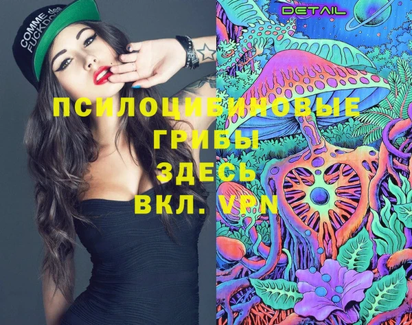 ПСИЛОЦИБИНОВЫЕ ГРИБЫ Абдулино