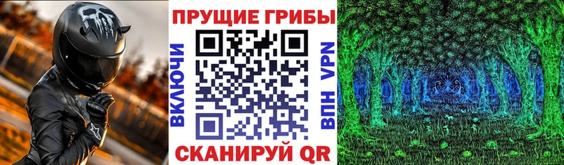 Галлюциногенные грибы Psilocybine cubensis  продажа наркотиков  Галич 